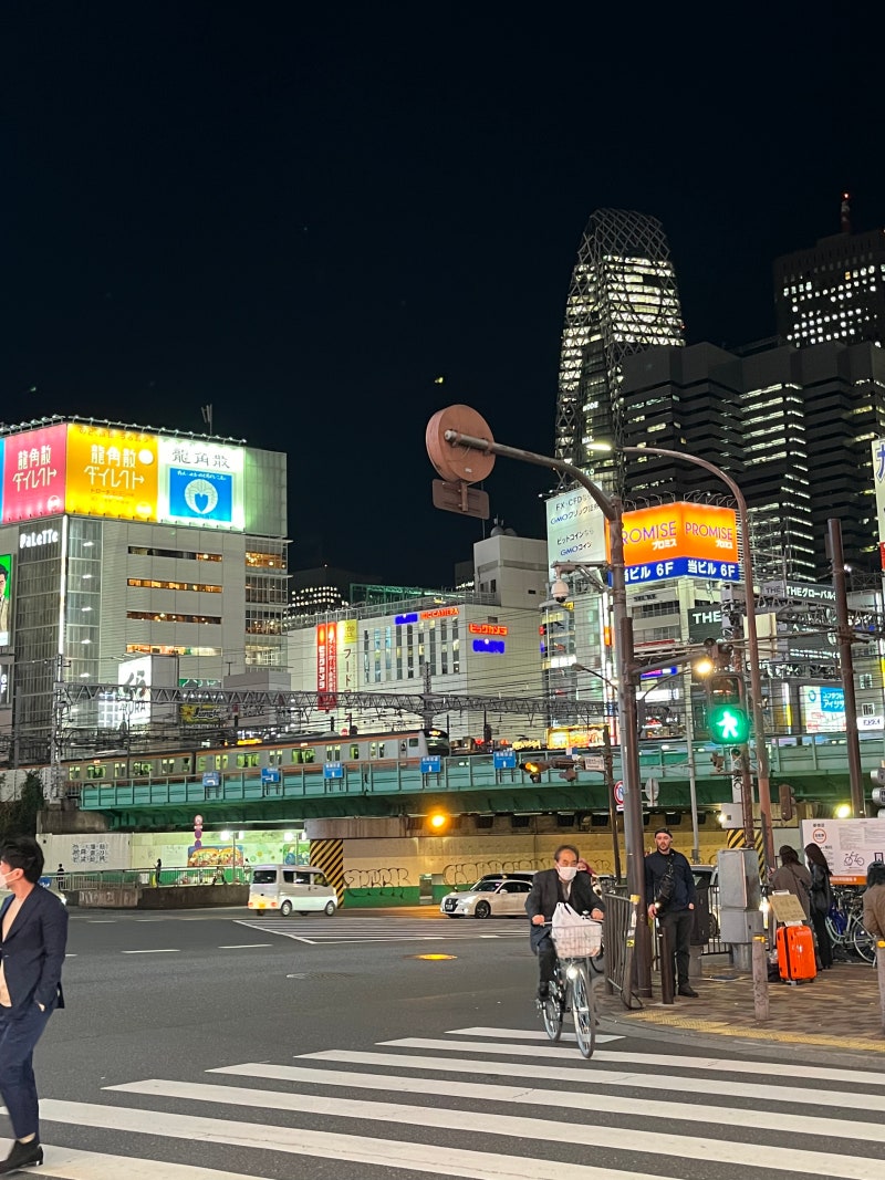 2022.11 도쿄 첫째날 :: 나리타 공항에서 아사쿠사역/토요코인 체크인/메이지 대학 나카노 캠퍼스/이치란 라멘 나카노점/나카노  브로드웨이/토호 시네마즈 신주쿠 스즈메의 문단속 : 네이버 블로그