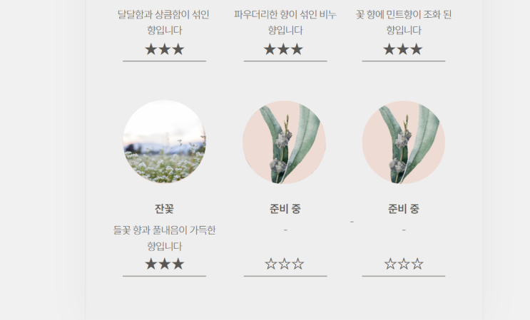  나이트브리즈 인필터 잔꽃 준비 중