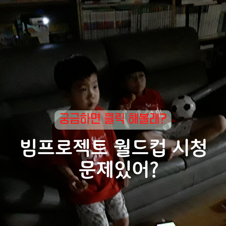  빔프로젝터로 월드컵 시청 절대로 집에서 하면 안되는 이유 'ㅇㅇㅇ'