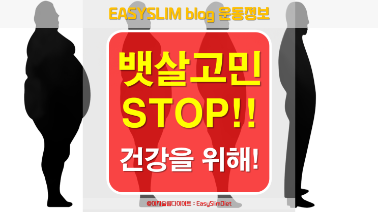  뱃살빼는노하우 나도 복근 만들 수 있다