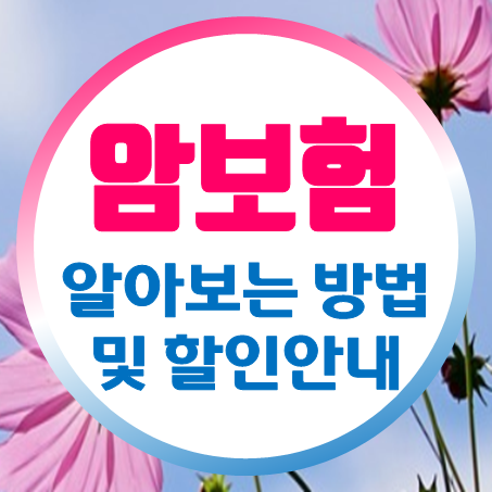  여자암보험 알아보는 방법과 로그앱 할인 적용 안내