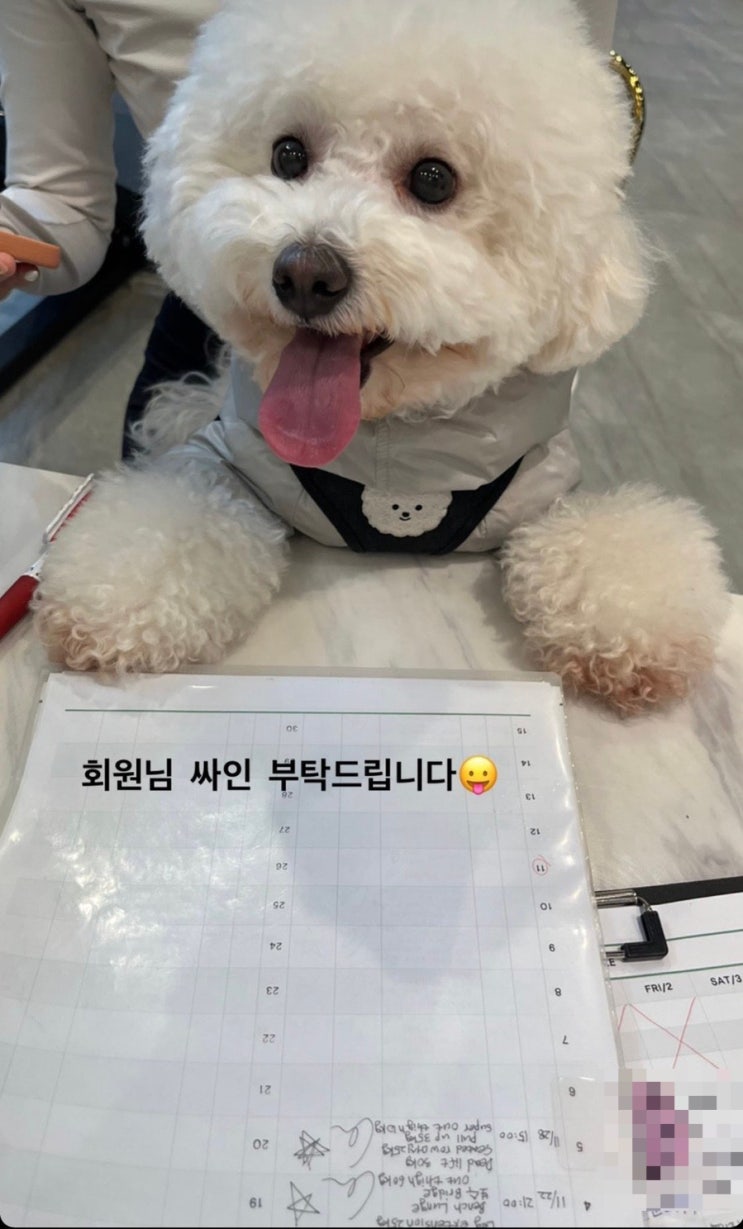 마곡피티: 회원님 싸인 부탁드립니다/ 생일, 운동현장 기록