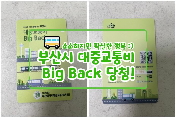  부산시 대중교통비 환원사업 | Big Back | 신청도 간단! 부산시에서 대중교통 한번이라도 이용했다면 신청가능!