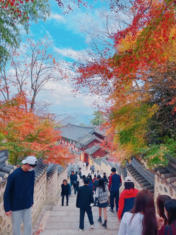  부산 금정구 범어사에 알록달록 가을이 다가왔네