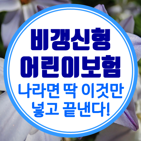  비갱신형어린이보험 나라면 딱 이것만 넣고 끝낸다!