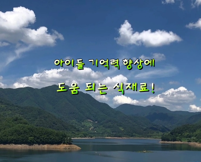 아이들 기억력 향상에 도움 되는 식재료! 아이들 기억력 향상에 도움 되는 식재료!