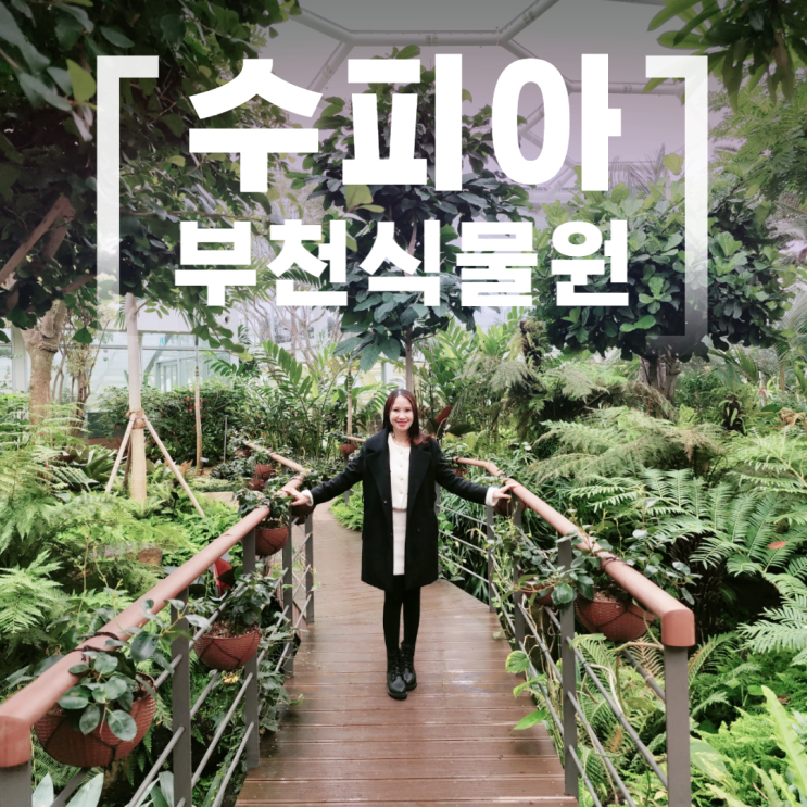 부천 호수식물원 수피아 예약 스카이워크 온실 실내데이트 부천 호수식물원 수피아 예약 스카이워크 온실 실내데이트