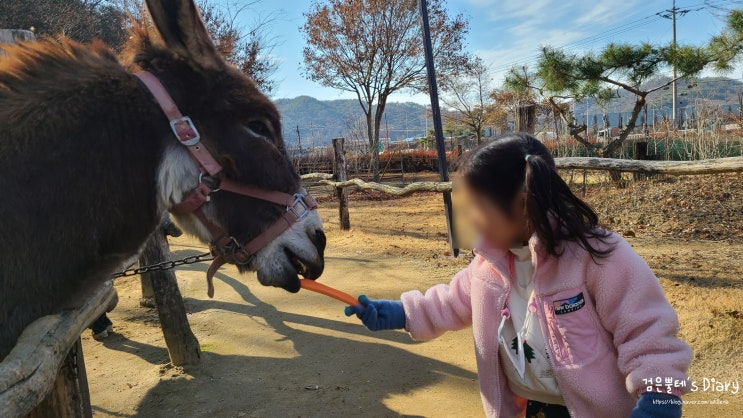 [아이랑 청주여행#1] 진천 아이와 가볼만한곳 - 마차박물관체험마을
