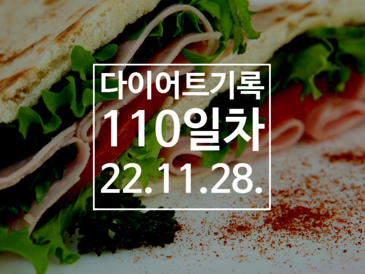  [다이어트기록DAY110]