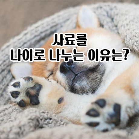  사료를 나이로 나누는 이유는?