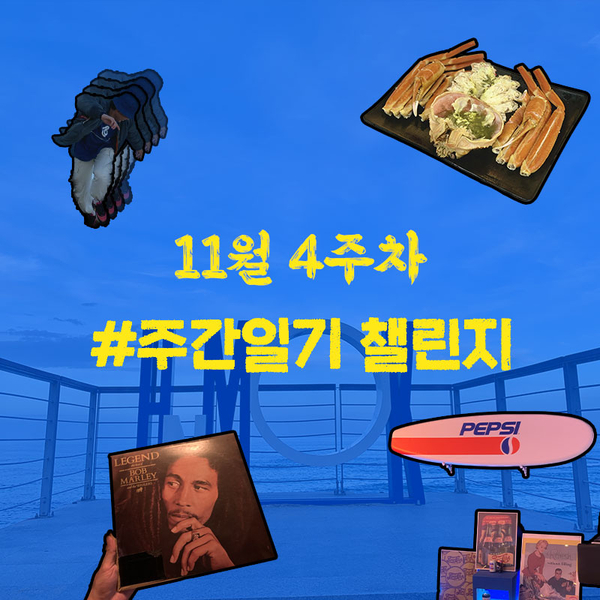  #주간일지 챌린지, 11월 4주 차 '바다 주간'