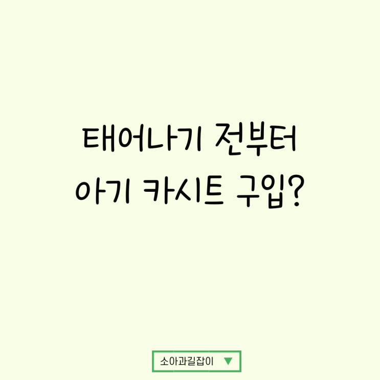  아이가 태어나기도 전에 카시트 구입해야 한다구요? (신생아 카시트)
