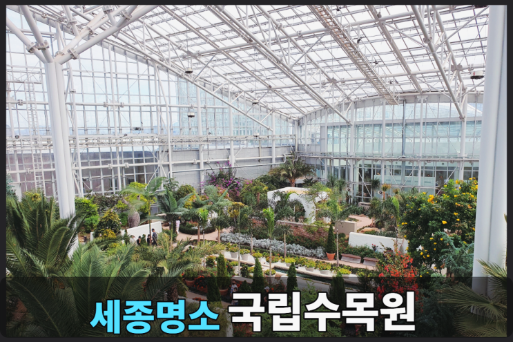  세종국립수목원 핑크퐁 보고 온실 구경까지~ 주차장 정보 + 겨울철 실내데이트 코스