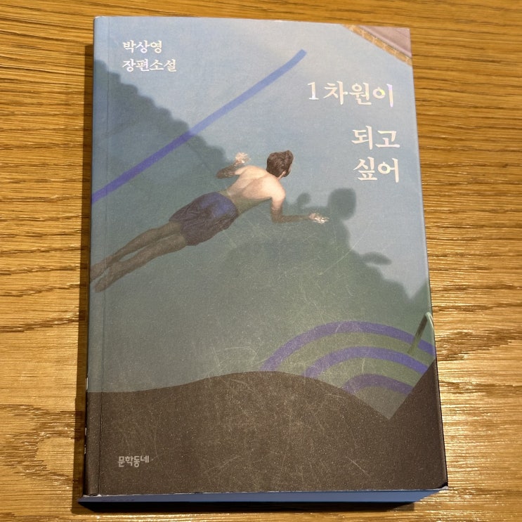  <1차원이 되고 싶어> 책 리뷰