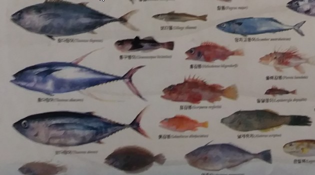 의학,약학질활별 물리치료Cerebral Palsy의학,약학질환별물리치료의학,약학질환별 물리치료 하지절단에 관해서올려드립니다맨처음 말씀드릴 리포트는 대충 22페이지짜리 PPT문서(P