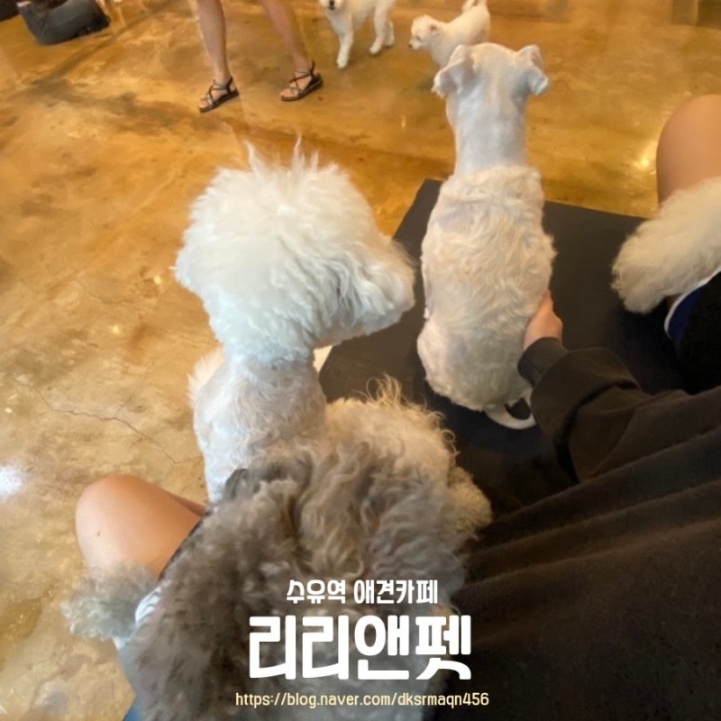 사진 2