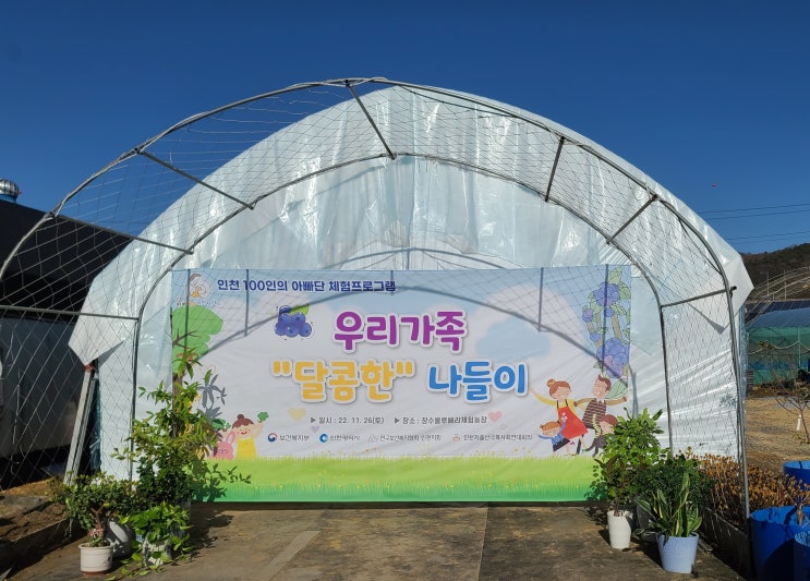  [장수블루베리] 다양한 체험을 즐길수 있는 체험 농원 / 블루베리잼만들기 / 동물먹이주기 / 체험프로그램 / 커피나무 분갈이 체험