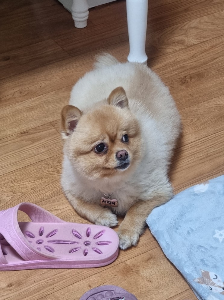  오빠 경계하는 사랑이