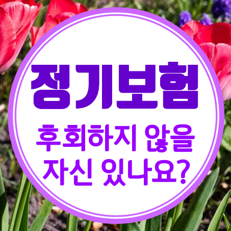  정기보험추천 후회 안 할 자신 있나요?