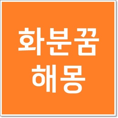 화분꿈 해몽 화분받는꿈 깨지는꿈 물주는꿈 사는꿈