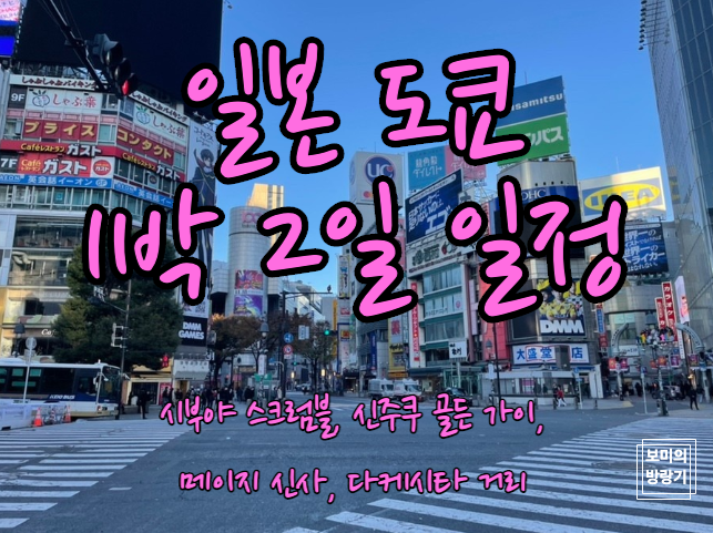  일본 도쿄 1박 2일, 시부야 스크럼블, 하치코 동상, 신주쿠 골든가이, 메이지 신사, 다케시타 거리