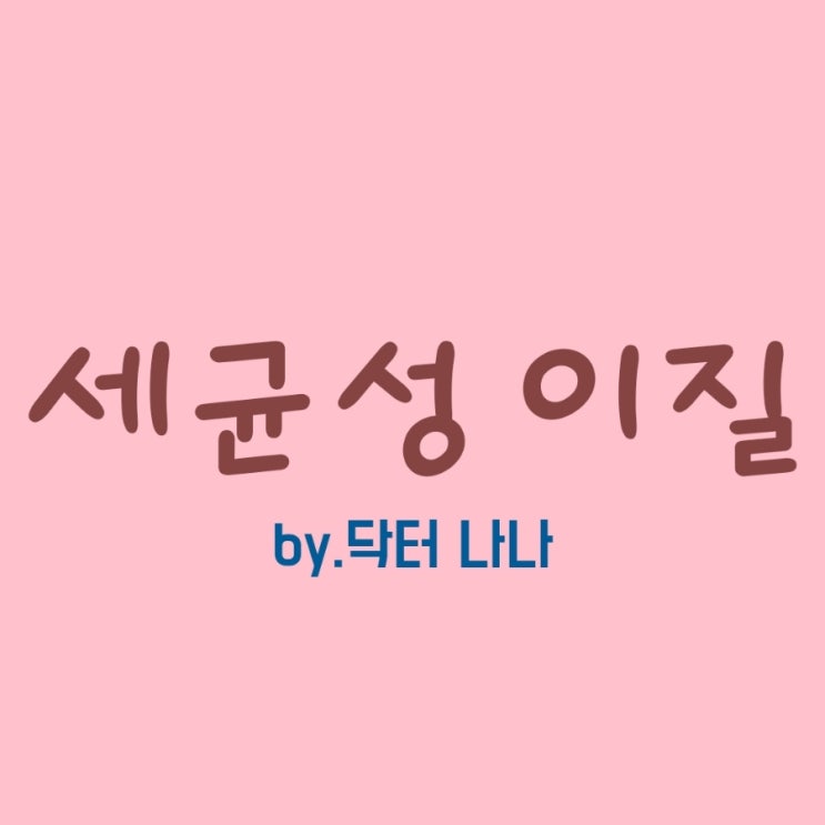  세균성 이질 증상 및 치료