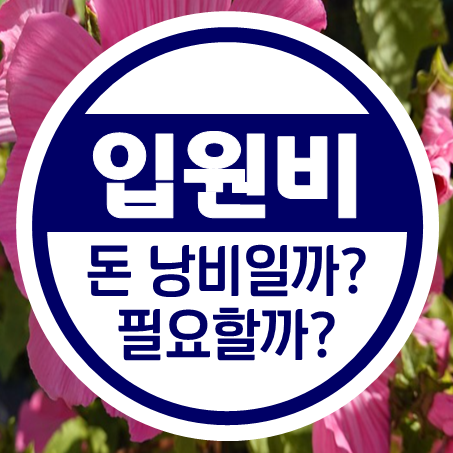  첫날부터입원비보험 필요하다 vs 돈 낭비, 어떤 게 맞을까?