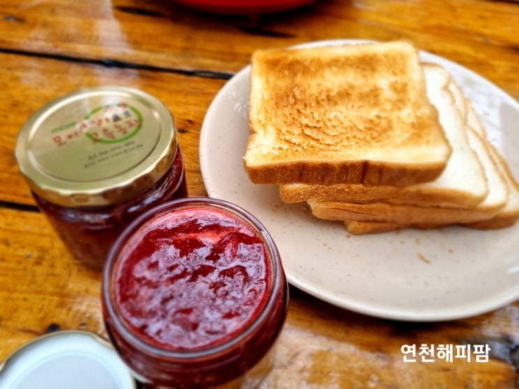  연천딸기체험 아이와가볼만한곳 연천모아베리농장