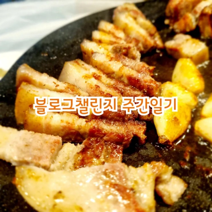  [블챌] 블로그챌린지 주간일기 11/25~12/1