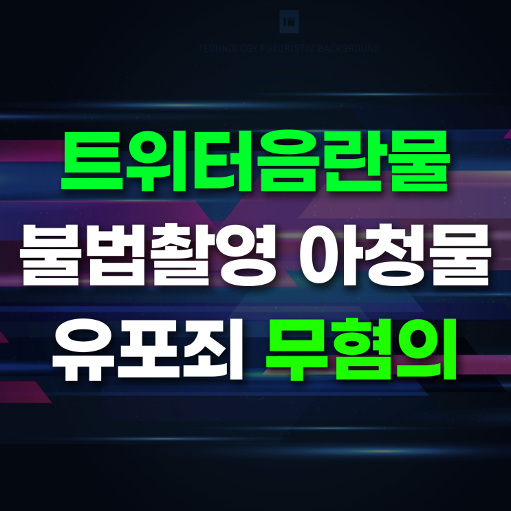  트위터음란물 불법아청물 유포죄 판결 사례
