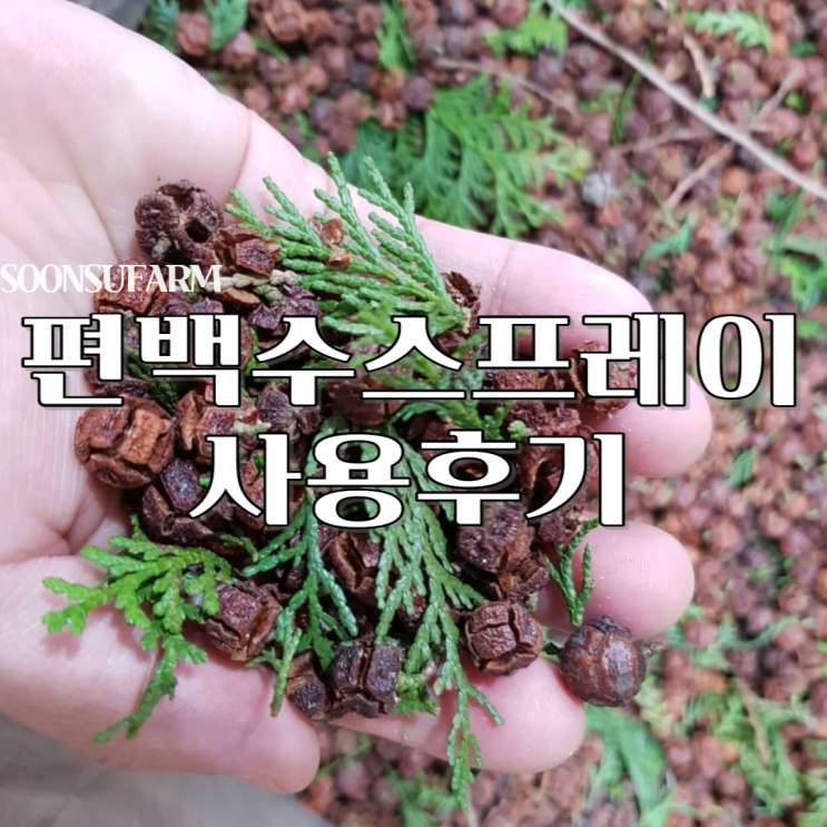  [쑥's 러운 생활템 리뷰] 두꺼운 겨울 이불 쉽게 관리하기! 천연 진드기 퇴치제 "순수팜 편백수 스프레이"
