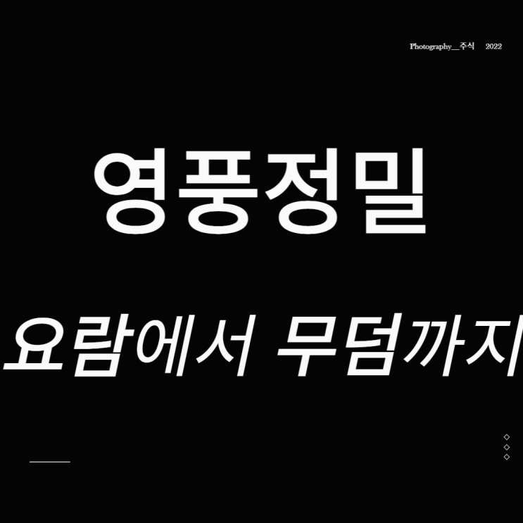  영풍정밀 주가 지분경쟁 관련주 요람에서 무덤까지