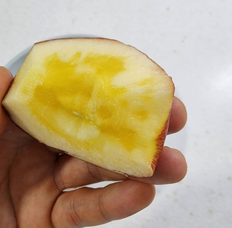  꿀이 가득한 경북 영양 사과 / 맛있는 사과 즙