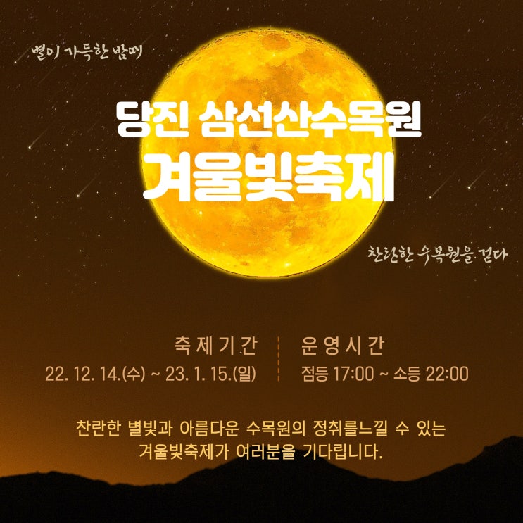  당진 삼선산수목원 겨울빛축제 2022