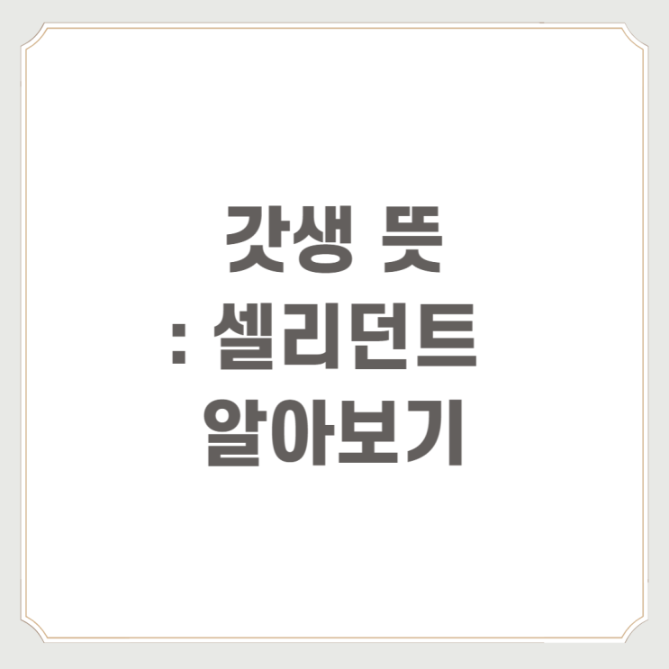  갓생 뜻 :  셀리던트 알아보기