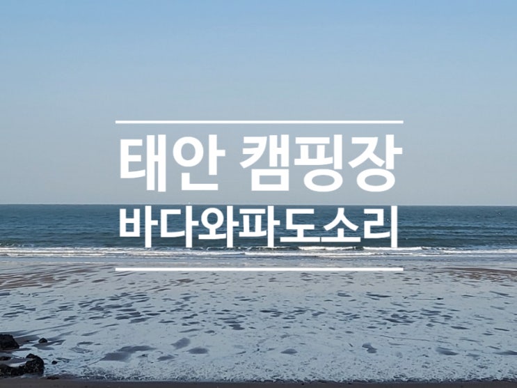  태안 캠핑장 중 오션뷰는 여기가 최고!!! 전망 좋은 캠핑장 바다와파도소리  블챌 마지막 주간일기!!