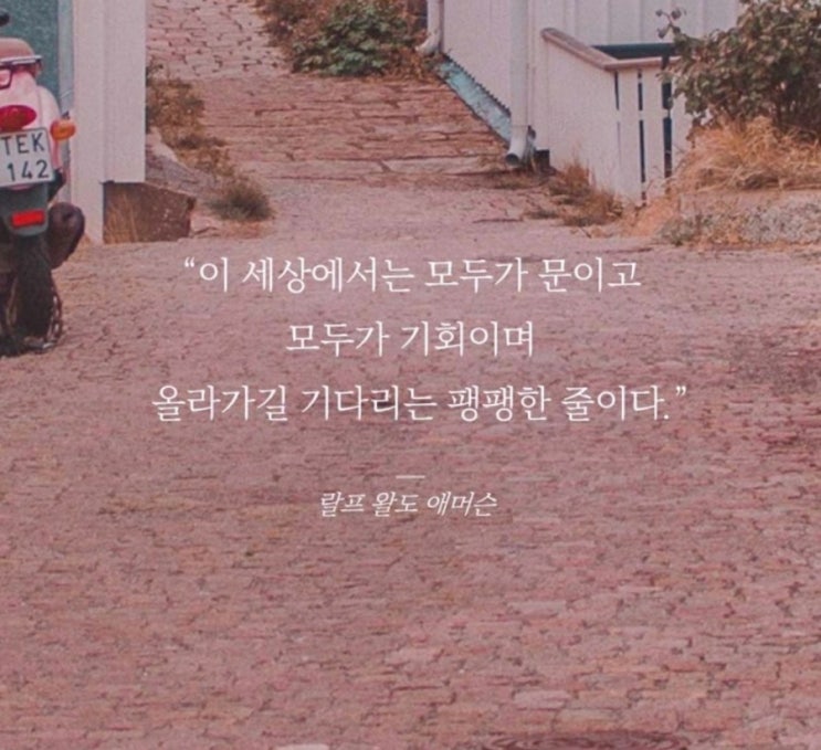  부거사이 [부동산 뉴스와 블로그] 11월 30일(수)