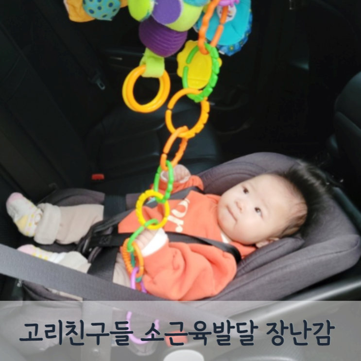  소근육 발달 놀이 고리친구들, 신생아 백일아기 유모차 카시트 장난감으로 추천