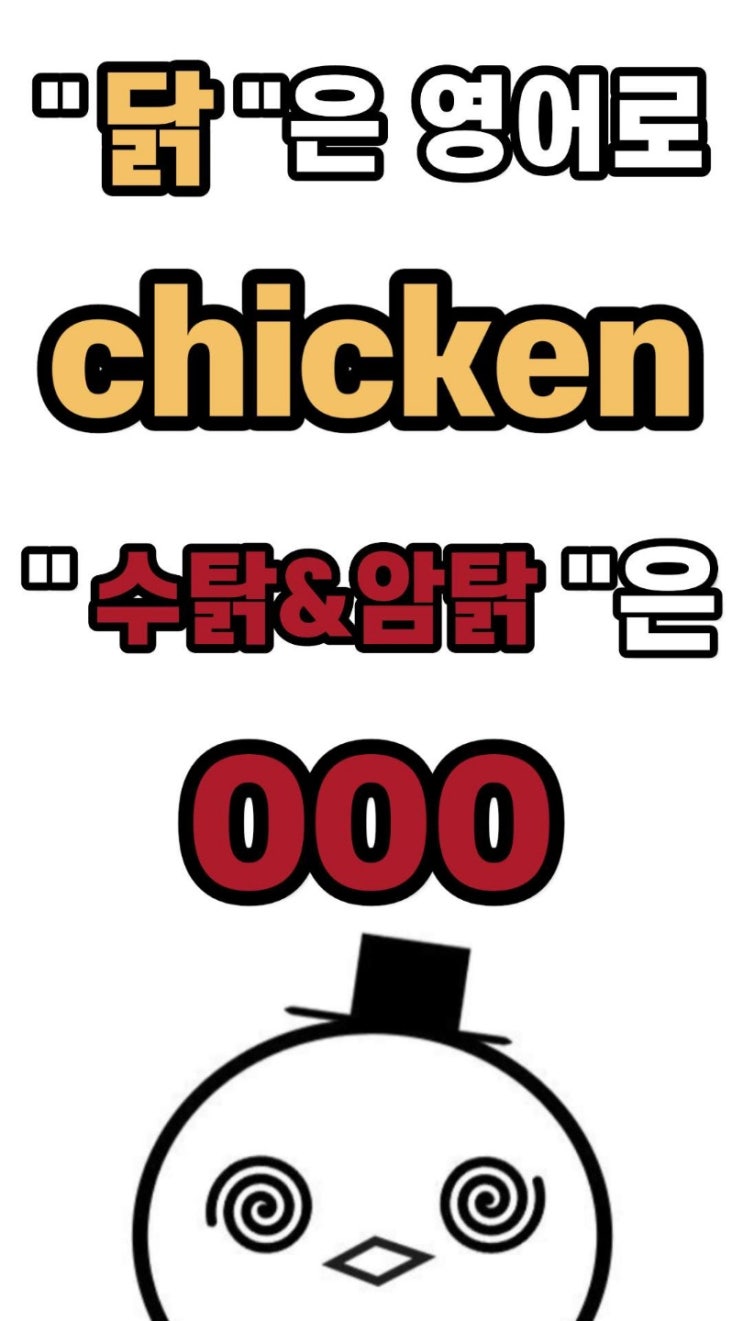  [회화에빠진키위] 닭은 영어로 chicken, 수탉/암탉 은 영어로?