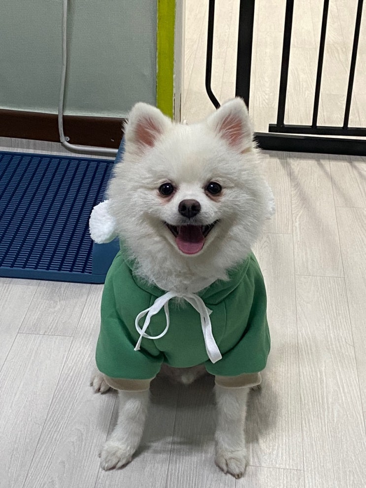  [룩또] 이번주 1044회 로또 당첨번호 추천