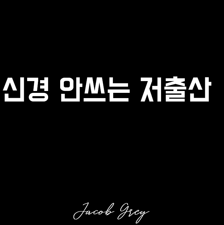  돌이킬 수 없는 문제로 돌아올 저출산 문제 : 제가 직접 반등 시키겠습니다(?)