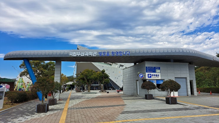  부산 기장 아이와 가볼 만한 국립부산과학관