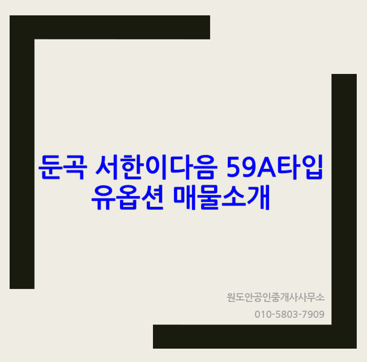  서한이다음 59A타입 옵션 있는 매물