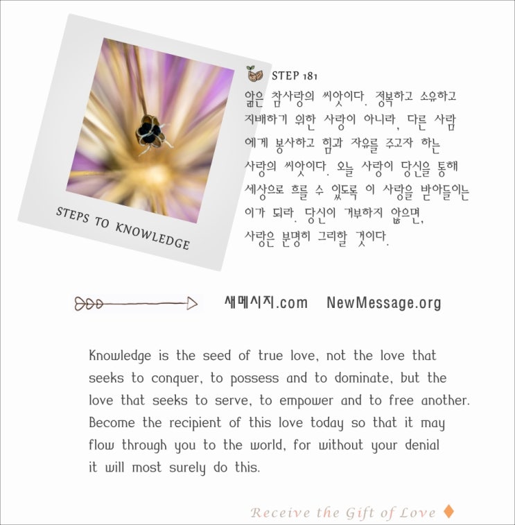 제 181 계단: 나는 오늘 앎의 사랑을 받아들인다 Today I receive the love of Knowledge 제 181 계단: 나는 오늘 앎의 사랑을 받아들인다 Today I receive the love of Knowledge
