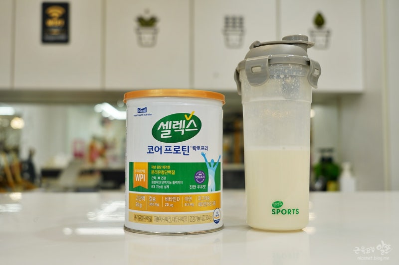 단백질 보충제 효과를 개선하기 위한 스마트 선택 기준