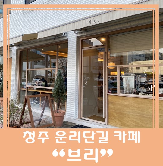  [청주 운리단길 카페] "브리" 브런치 맛집!! 오늘의 스프 추천!!