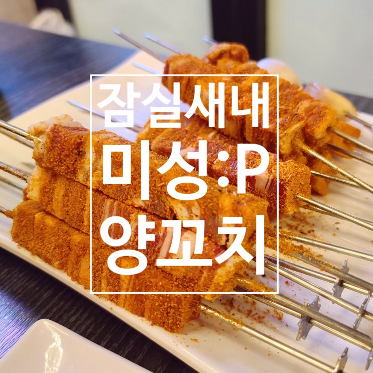  [잠실새내] 미성양꼬치