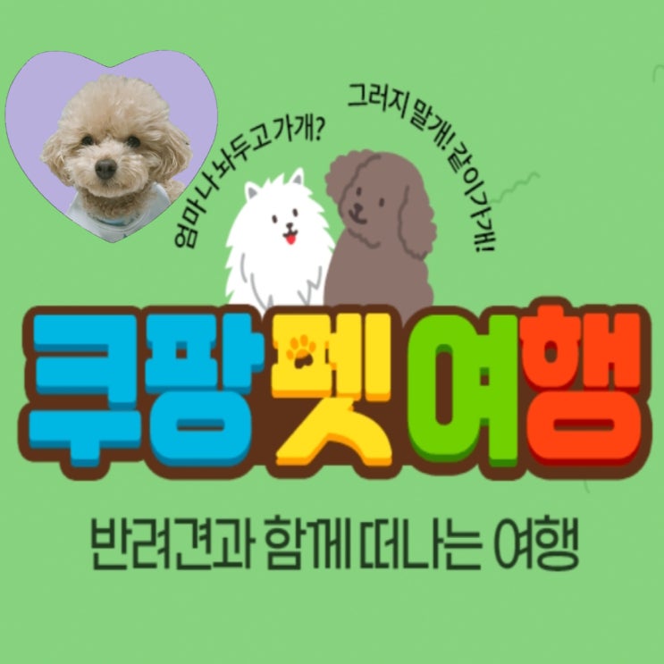  쿠팡트래블 반려견 여행 준비도 쿠팡 펫 여행에서 시작해요