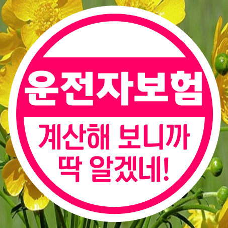  두 종류의 운전자보험 계산해 보니까 알겠어!