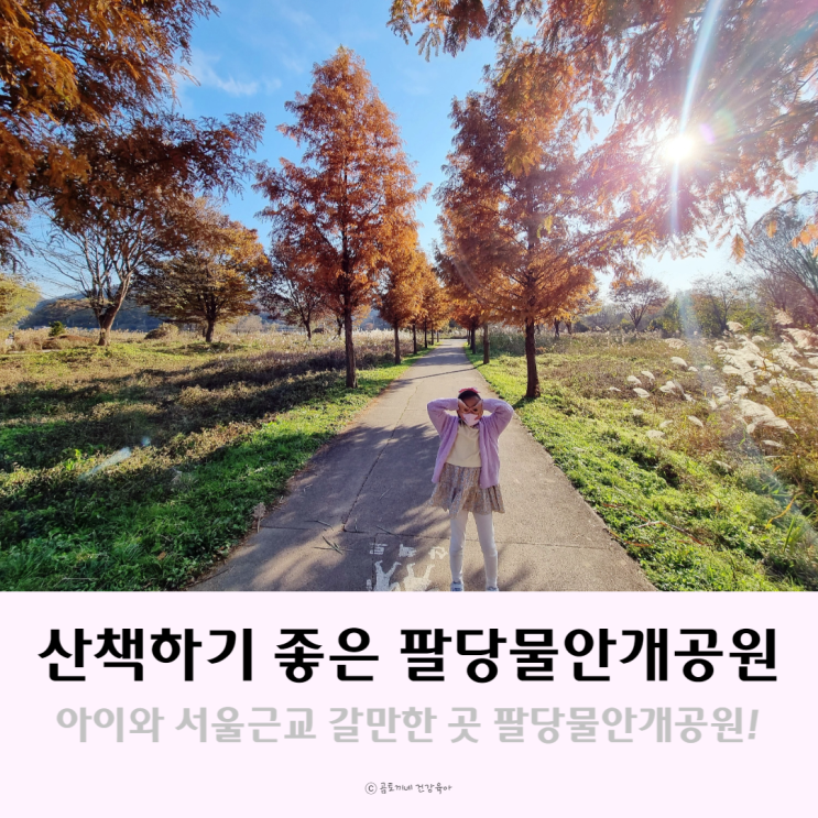 서울근교 갈만한곳 : 산책하기 좋은 팔당물안개공원